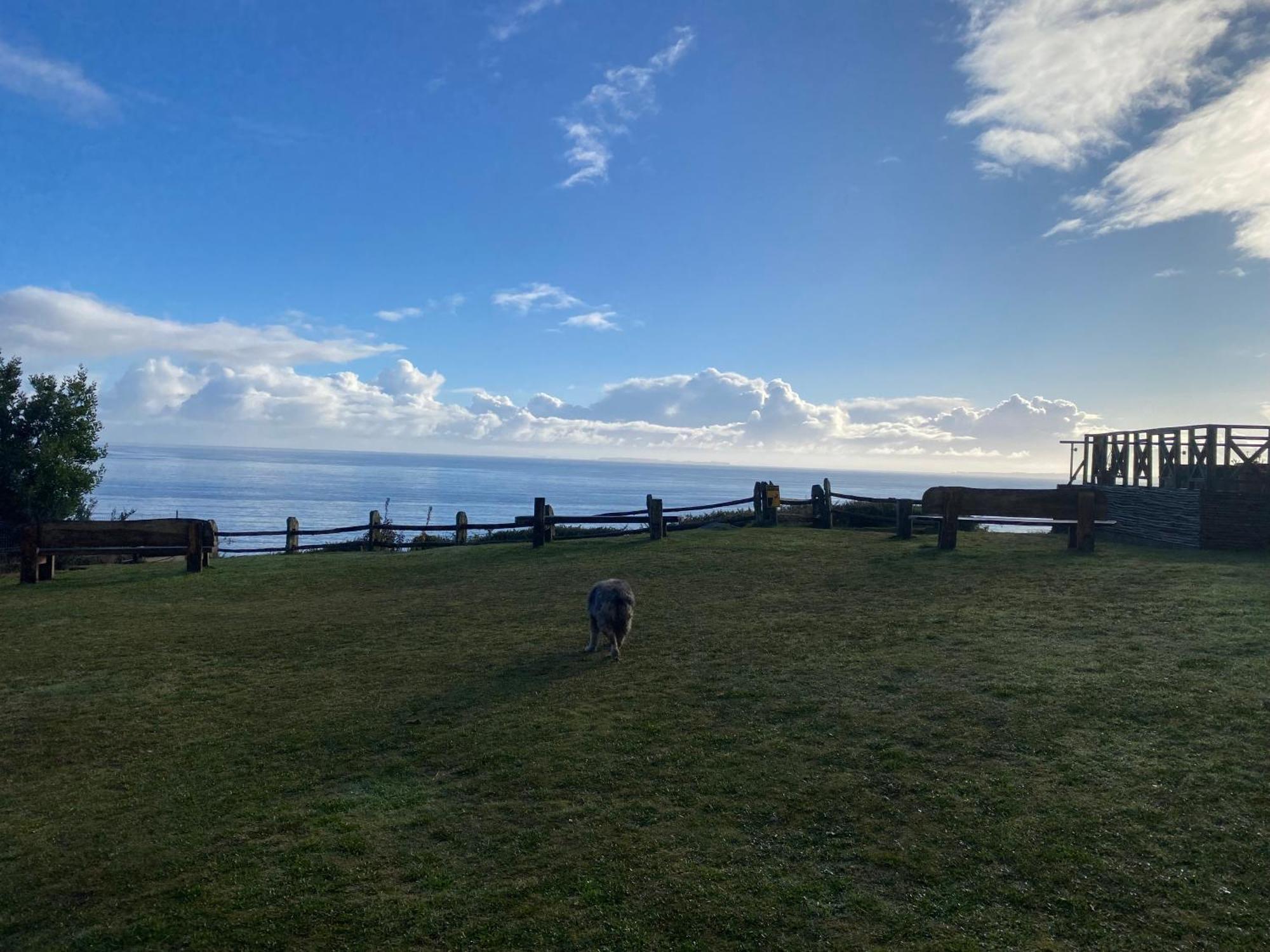 Hotel Faros Del Sur Ancud Exteriör bild